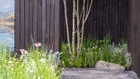 Thumbnail for slide 4