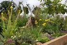 Thumbnail: The Norfolk Weave Border Kind to Soil, Nature and Soul