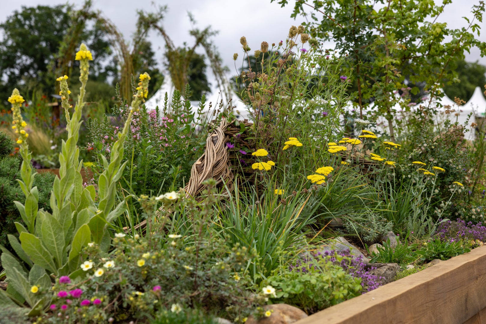 The Norfolk Weave Border Kind to Soil, Nature and Soul