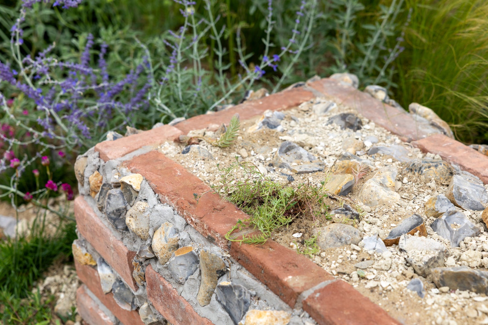 Norfolk Coast: A Long Border for Climate Resilience