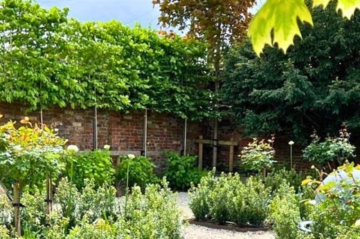 A & J Plants