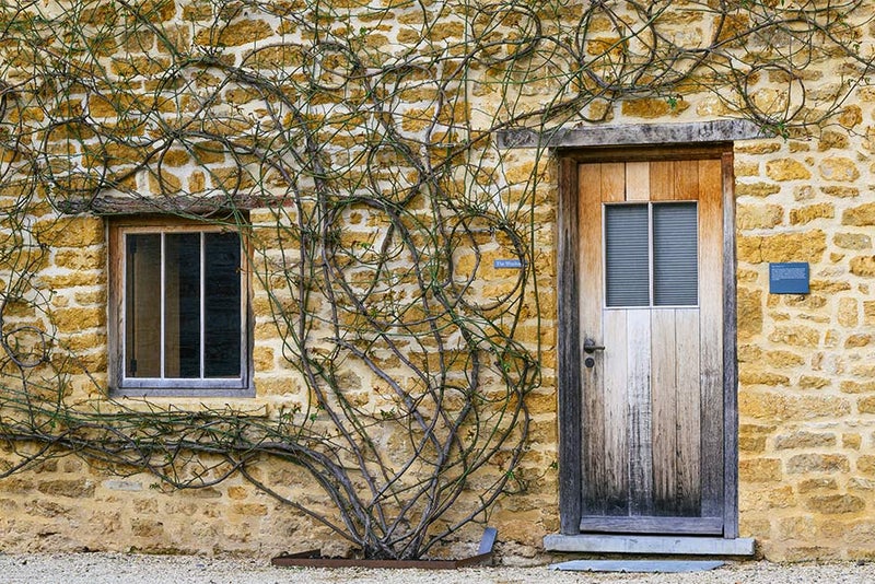Dare to dream with deciduous shrubs