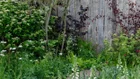 Thumbnail for slide 4