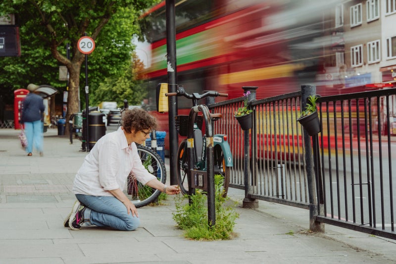 Amanda Tuke kneeling to look at street plants growing from the pavement