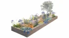 Thumbnail for slide 5