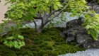 Thumbnail for slide 4