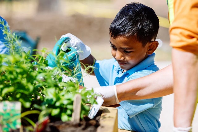 Garden in your community