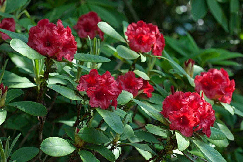 Spectacular all year-round