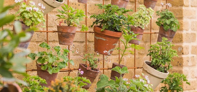 Planting ideas for small spaces