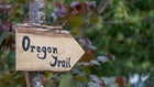 Thumbnail for slide 5