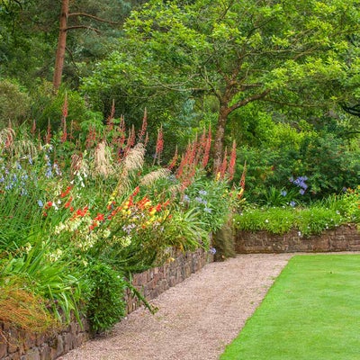 Neat lawn edges at RHS Garden Rosemoor 