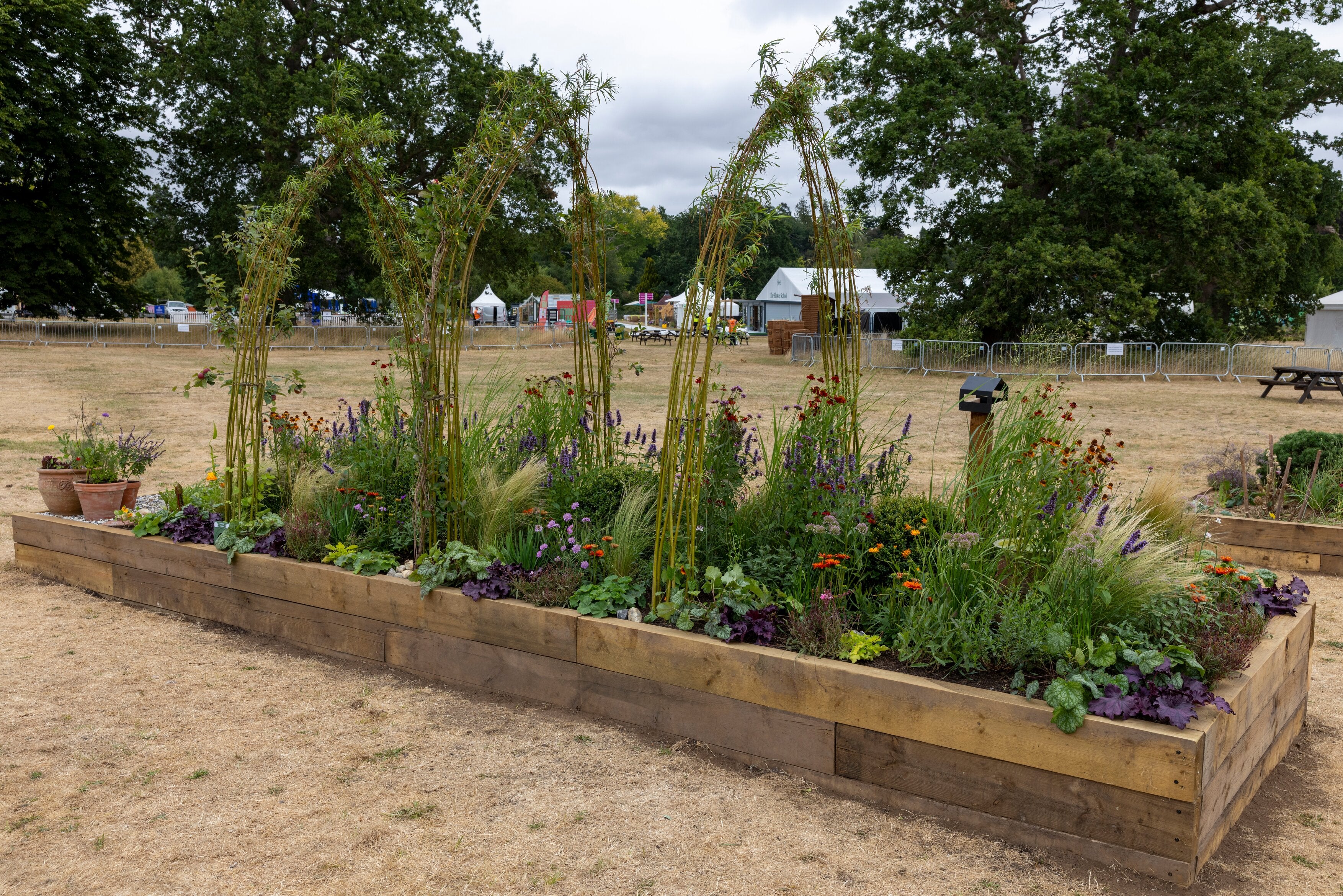 From Plot To Habitat