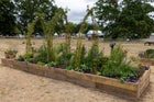 Thumbnail: From Plot To Habitat
