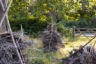Thumbnail for slide 6