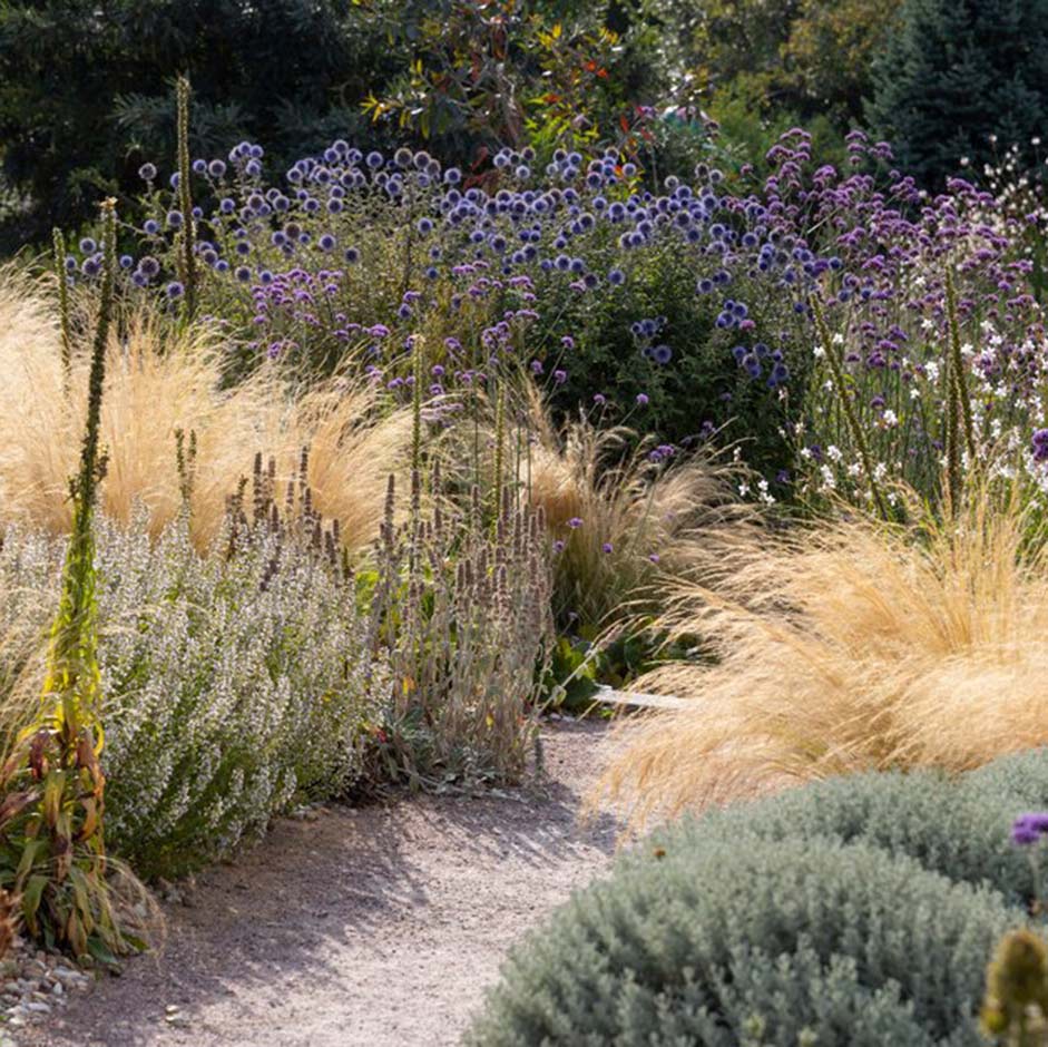 Gravel gardens