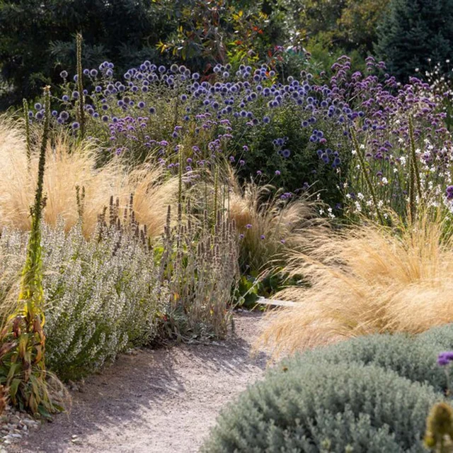 Gravel gardens
