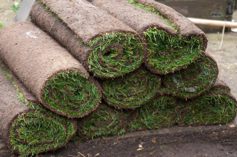 How to Lay Turf | RHS Advice