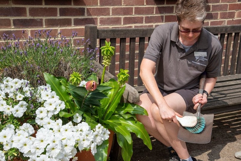 Cleaning Hand Tools: Maintenance Tips | RHS Advice
