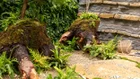 Thumbnail for slide 4