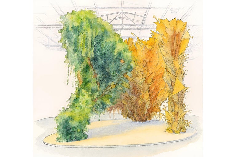 A watercolor painting of plants