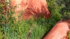 Thumbnail for slide 5