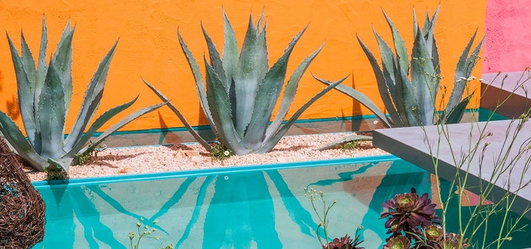 How to give your garden that holiday feel