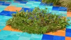 Thumbnail for slide 4