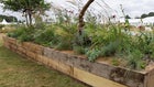 Thumbnail for slide 1