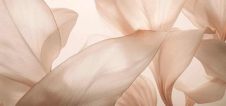 2025 Pantone Color of the Year
