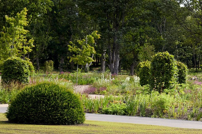 Discover RHS Garden Bridgewater, the spectacular garden we're building in Salford