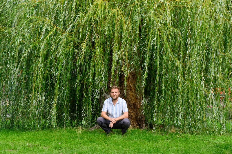 John Parker under the Globe Willow in Stonehouse city centre