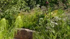 Thumbnail for slide 3