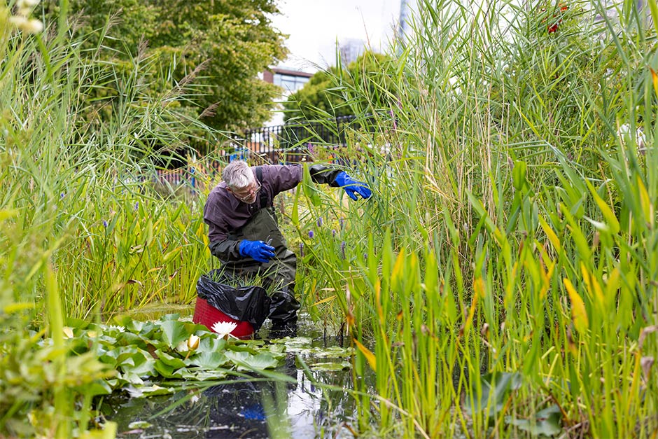 Tackling the nature crisis