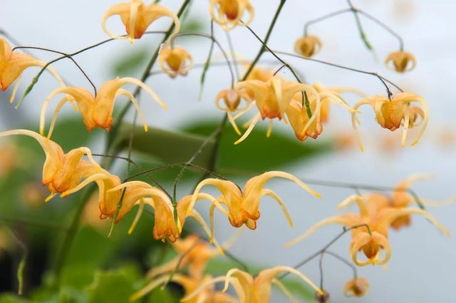 10 ways to be more sustainable in your garden