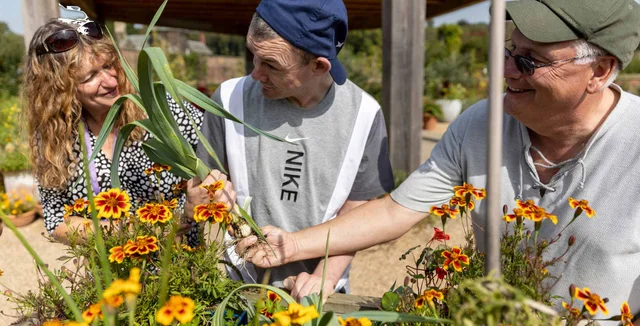 Gardening for health and wellbeing