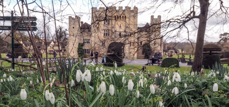 Days out for snowdrop lovers at RHS Partner Gardens