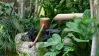 Thumbnail for slide 2