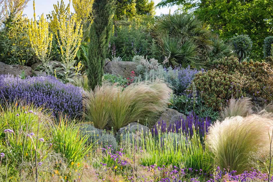 A garden with many plants and rocks