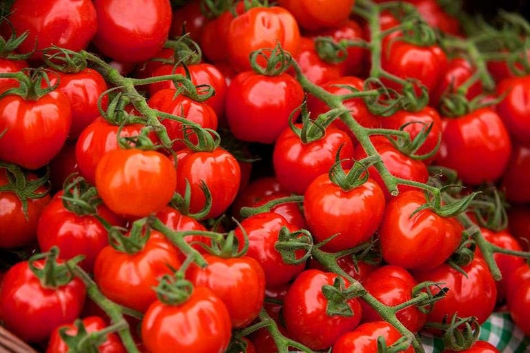 Buy tomatoes at RHSplants.co.uk