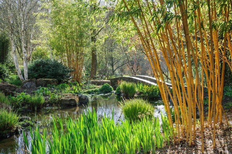 Inspiring ideas for your garden