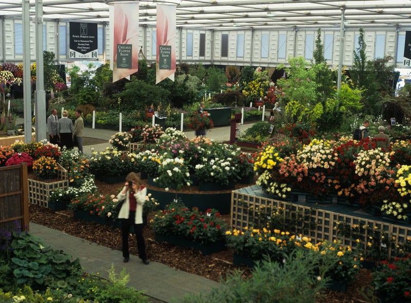 A group of people in a garden