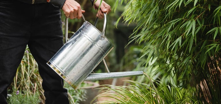 Recycling bathwater for watering gardens set to become mainstream