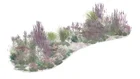 Thumbnail for slide 7