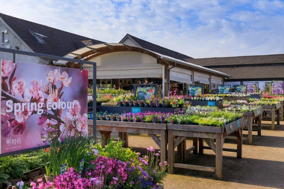 Shop for instant spring colour