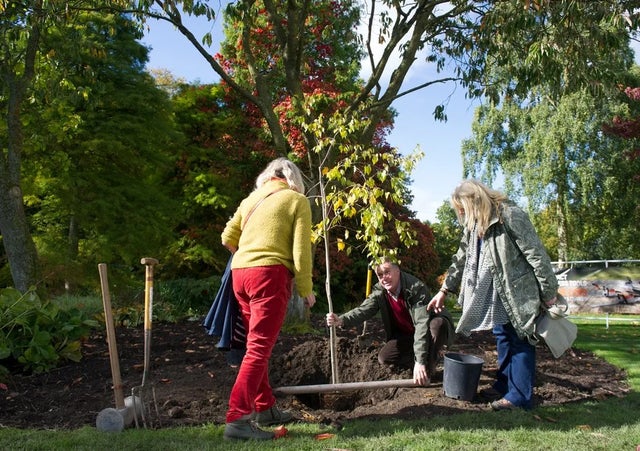 Roots of Remembrance