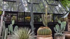 Thumbnail for slide 2