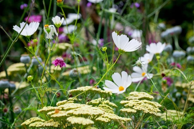 Gardening for the environment
