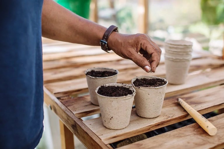 National Gardening Week