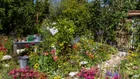 Thumbnail: A garden with flowers and trees