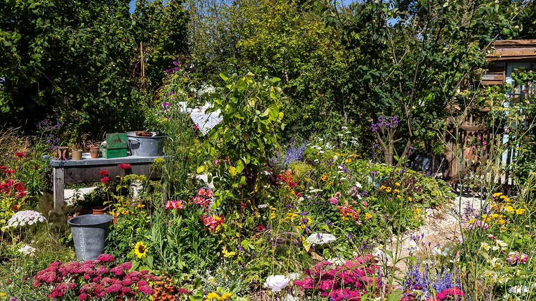 A garden with flowers and trees